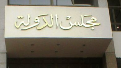 مجلس الدولة